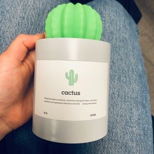 Cactus Desk Humidifier